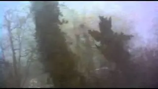 Абхазское побережье из окна поезда