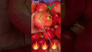 tiktok video 