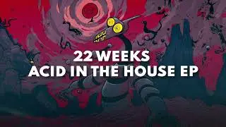 22 Weeks - Acid In The House (Extended Mix)