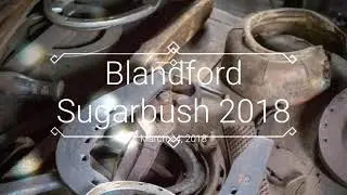 Blandford Sugarbush 2018 - Blandford Nature Center