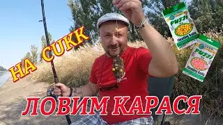 Ловим карася с берега на CUKK.