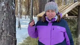 Ответы на вопросы о диких зверях