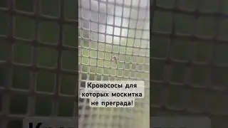 This material was prepared with the support of a grant from the Russian Ministry of Education and...