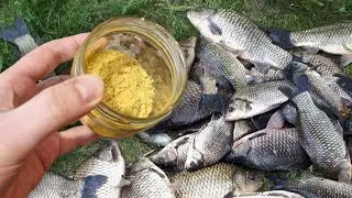 30кг рыбы за 4 часа на рыбалке! В мае вся рыба клюет на это