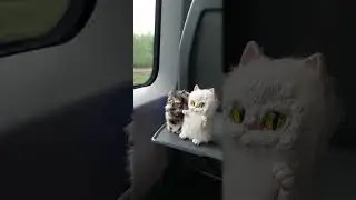Hugger toy'sы🥰😄