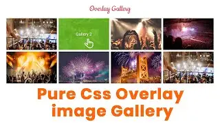 Image Overlay Hover Effect Using HTML CSS | Image Overlay Hover Effect | Bootstrap 4 Image Overlay