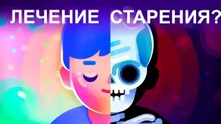 Как лечить старение - в течение всей жизни? [Kurzgesagt]
