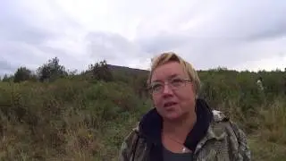 How to visit Basegi Nature Reserve?