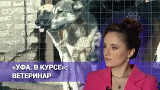 «УФА. В КУРСЕ»: ВЕТЕРИНАР