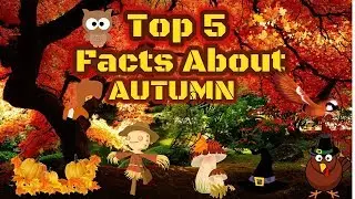 Top 5 Facts About Autumn/Fall
