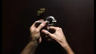 Optimizing Your Cannabis Experience / Derek Gilman