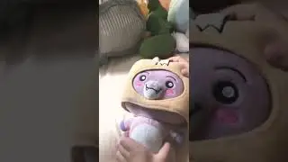 My teddies when they see me walking in my room