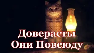 Ламповые Посиделки  Доверасты