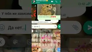 зависимость от котиков?🤔#роблокс#рекомендации