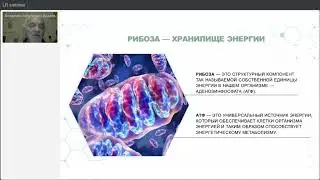 Cell Essence Energy / 5 минут о продукте / профессор Дадали В.А.