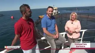 Kafes Balığı Yetiştirme -Trabzon 