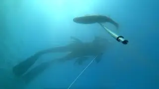 ПО. Классная была охота!