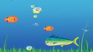 Aquarium Animation | After Effect CC Animation | Hamza Visuals