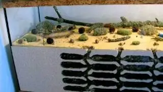 big formicarium (80x30x40cm) with a large Lasius niger colony (about 4 000 workers)