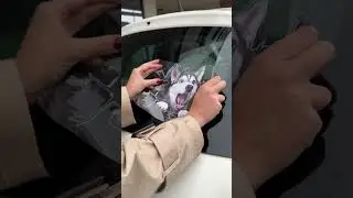 Anna Danas ćemo ukrasiti moje Auto