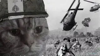 Записываем футажи для видео и делимся шизо теориями