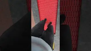 Игорь-якорь😂😂😂