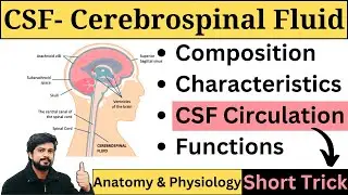 Cerebrospinal fluid anatomy and physiology, CSF in Hindi, CSF circulation | GNM | Bsc Nursing 1st Yr
