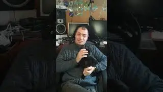 Ненастоящий кот Баджель