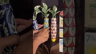 Amazon collabs 