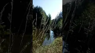 Дзен. Илимка.