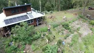 A Lush Backyard Food Forest