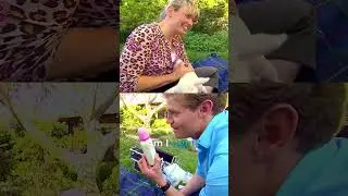 Dr Chris Brown Feeds The Cutest Baby Sheep In A Diaper! 🥹 #bondivet #shorts #lamb #farmanimals