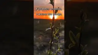 Счастья Вам #мудрость #мысли #слова #shorts