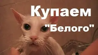 Купаем 