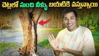 Dosa Controversy & Miracle Tree | Top 10 Interesting Facts In Telugu | Telugu Facts | VR Raja Facts