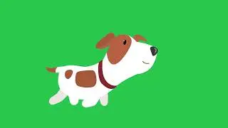 Dog Stop And Run Green Screen | No Copyright