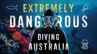 Why Diving in Australia is Extremely Dangerous