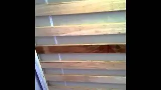 More spit