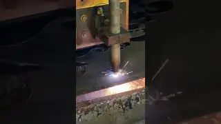Шымкентте бұндай барын бірінші рет көрдім