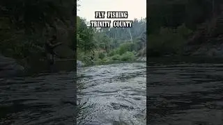 Fly Fishing for Trout in Beautiful Trinity County #shorts #fishing #fish