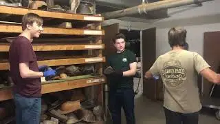 The 4 Year Rock-afire Restoration Process Part 5 (Making Molds)