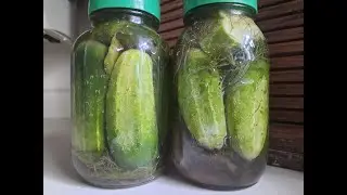 Easy Fermented Pickles Recipe