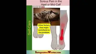Soleus - Trigger point heel pain