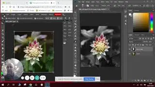 Photopea vs Photoshop