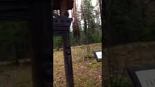 Есть в лесу музей наличников