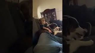 MY NIECE PAYS HER BODYGUARD IN GOLDFISH. 
