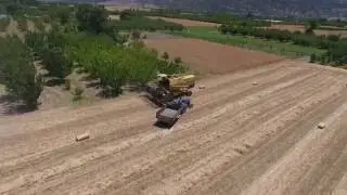 Türkiye'de Hasat 2016