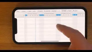 FlexGanttFX for JavaFX on iOS