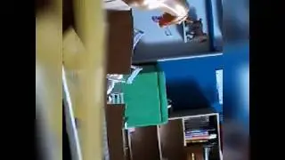 Opening to a surprise breyer horse
