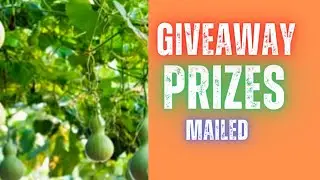 Prizes Mailed - #garden #gourds #giveaway